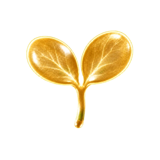 金の花：双葉